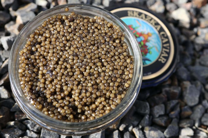 Beluga Hybrid Caviar - Everything You Need To Know