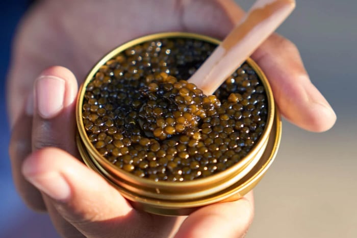 Caviar on a Budget: Affordable Alternatives for Beginners