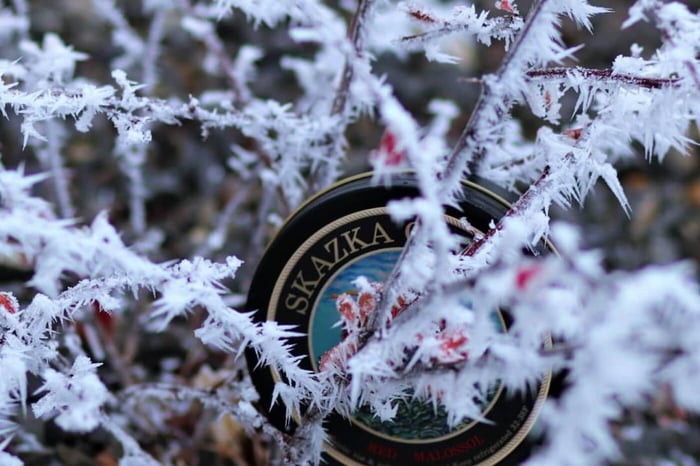How to Impress Guests with Caviar Appetizers