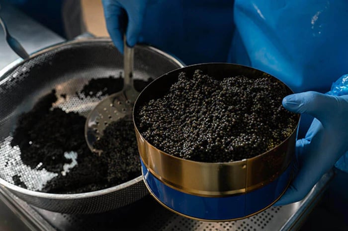 The Economic Impact of the Caviar Industry