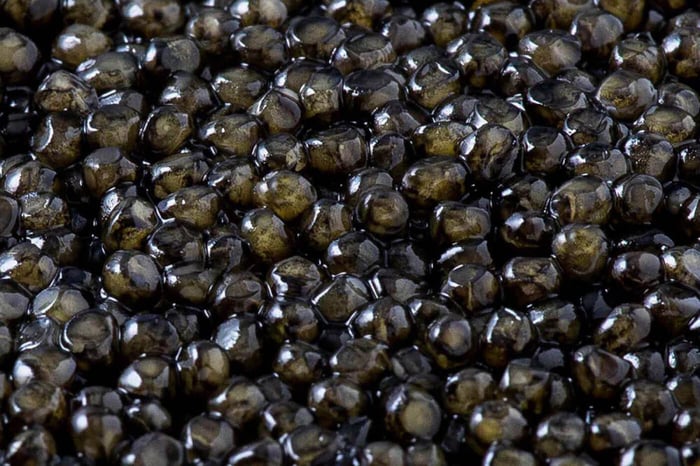 The Secrets of Caviar Salt Curing Techniques