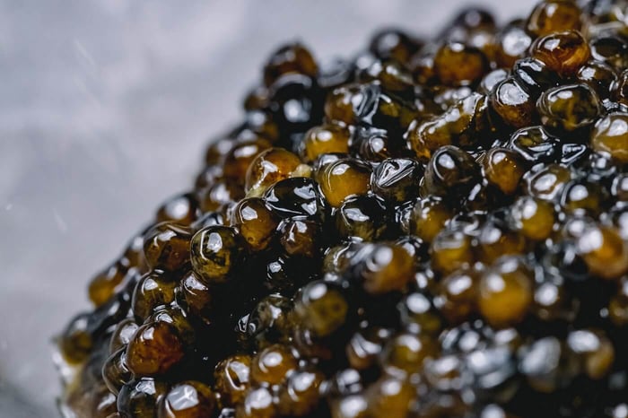 Siberian vs. Beluga Caviar: Which One Reigns Supreme?