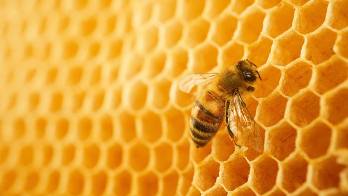 Bee Fondant with BFP Bakery Ingredients
