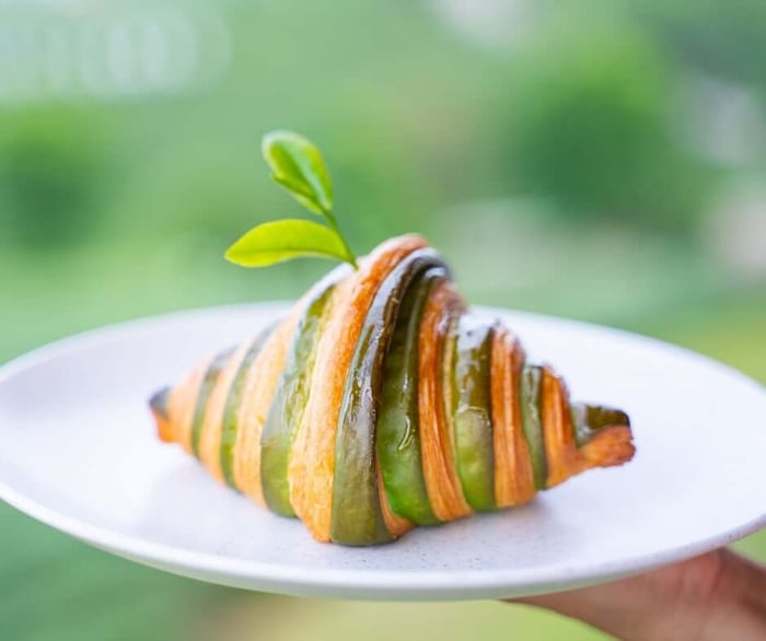 The Eco-Friendly Baker - Green Bakery