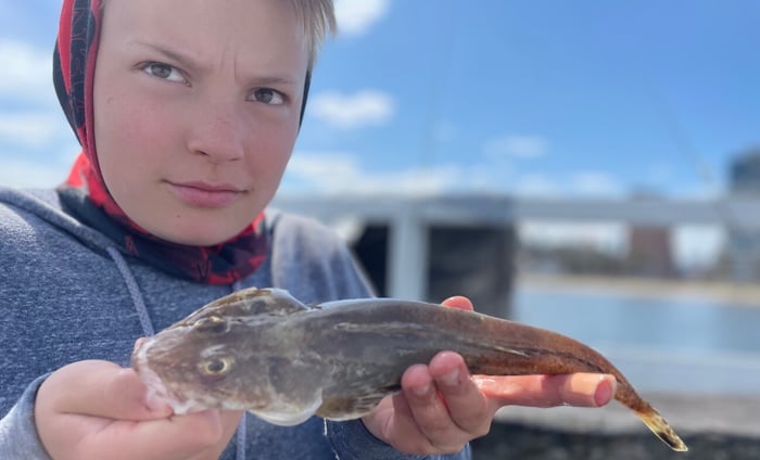 Flathead Rigs & Baits