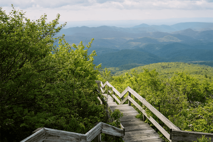 Our 2026 Earth Month Fundraiser Partners