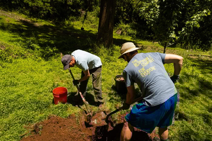 How to Plant a Tree in Your Own Backyard