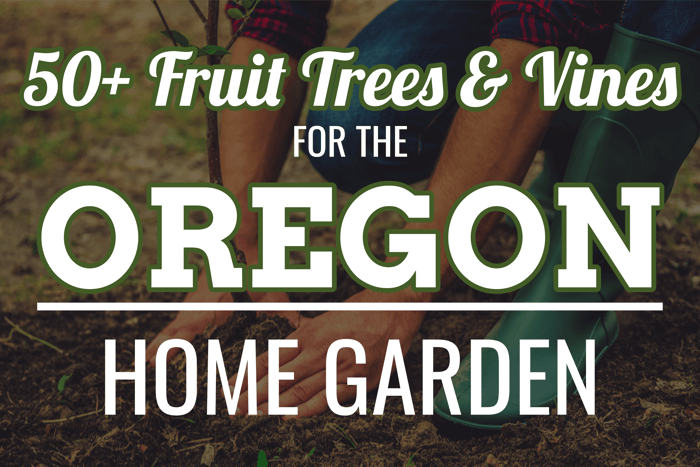 Oregon: Fruit Trees You Can Grow