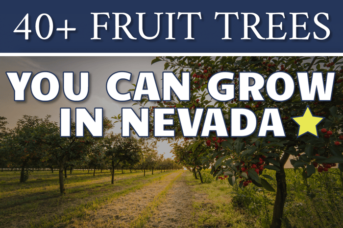 Nevada: Fruit Trees You Can Grow