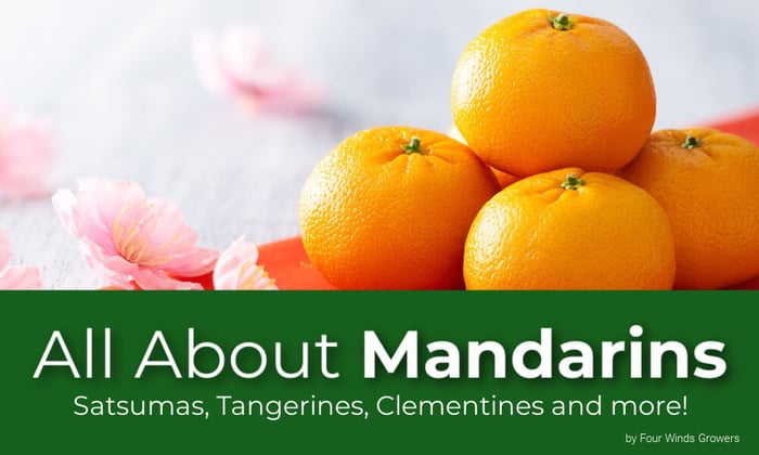 All About Mandarins- Satsumas, Tangerines, Clementines and more.
