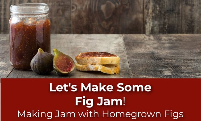 Let's Make Some Fig Jam! Making Jam With Homegrown Figs.