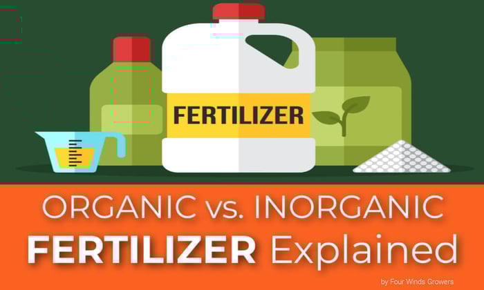 Organic vs Inorganic Fertilizer