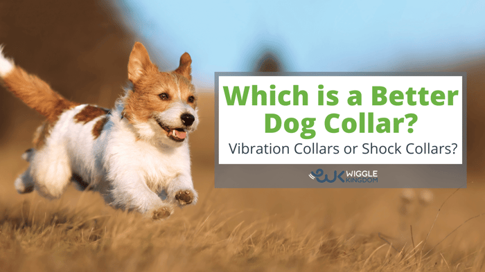 Which Is Better: Vibrating Dog Collar vs Shock Collar