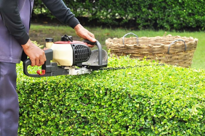 How to Trim a Hedge in 5 Steps