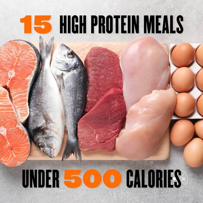 15 High-Protein Meals Under 500 Calories (2026 Guide)