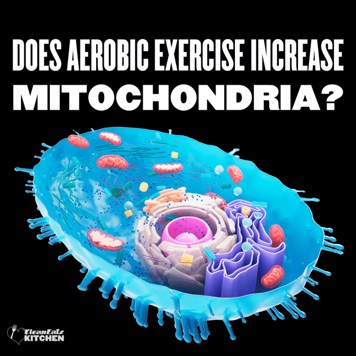 Does Aerobic Exercise Increase Mitochondria? (How Fast & How Much)