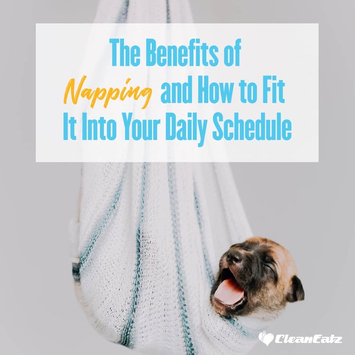 The Benefits of Napping: How to Fit It Into Your Schedule
