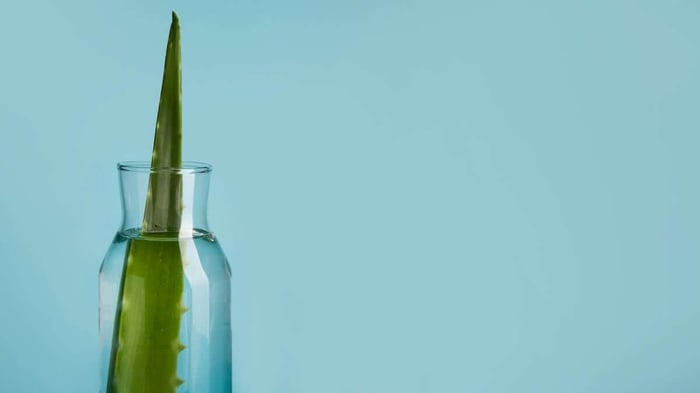 Aloe Vera med DGL – Naturlig lindring ved refluks