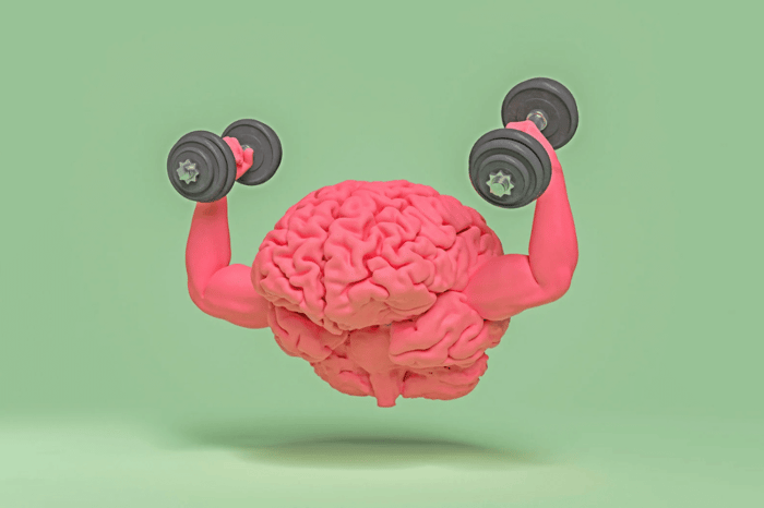 Sådan holder du din hippocampus sund og stærk