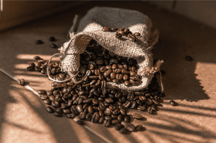 Kaffe og tarmflora: Ny overraskende sammenhæng