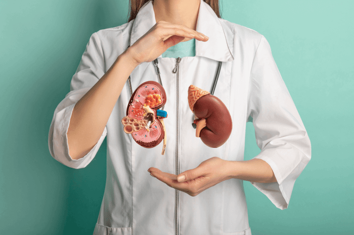 Nyresygdom kan lindres med antioxidant-rig kost