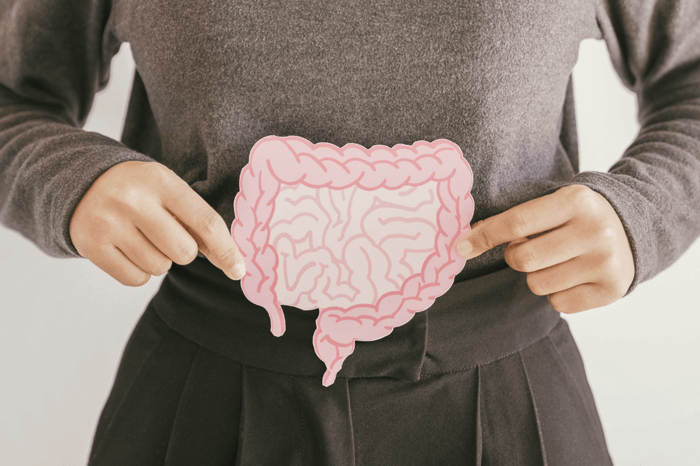 Mere mangfoldighed i tarmen kan stoppe farlige bakterier – sådan virker det