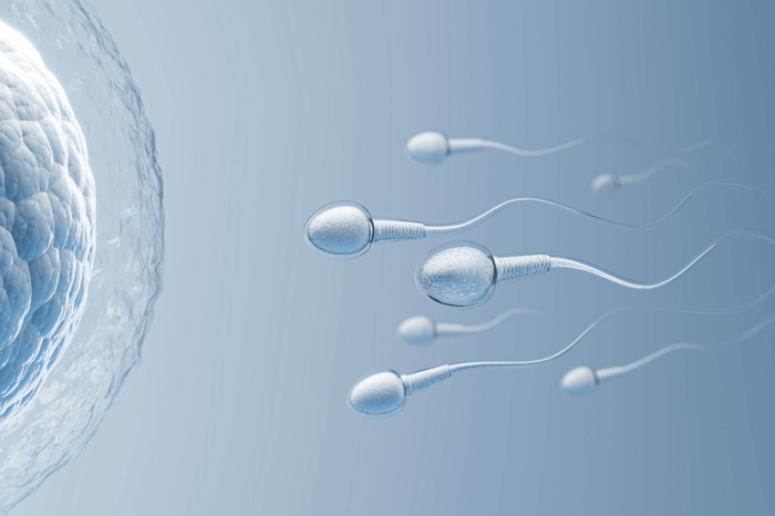 Sundhed og sædkvalitet: Sådan hænger de sammen