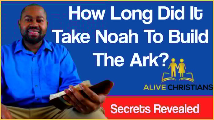 How Long Did It Take Noah To Build The Ark? (With Bible Verses)