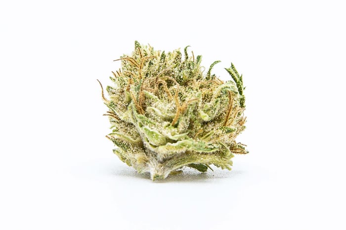 Why CBG is the next big thing