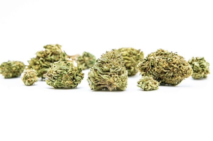 CBG vs. CBD: Differences and Benefits