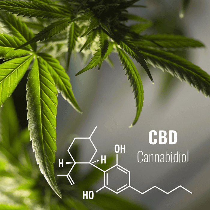 Is CBD Psychoactive? Technically, Yes.