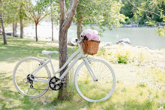 do something you love, white bicycle with basket and pink flowers, leaning on a tree, grass, river