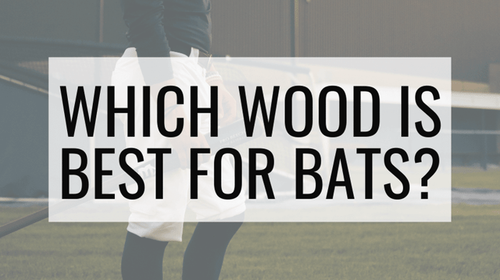 Beech, Maple, Birch, or Ash? Which Wood is Best for Baseball Bats?