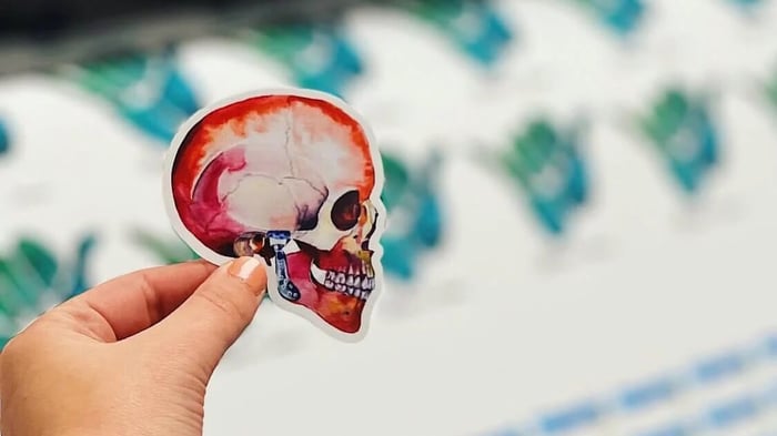 Vinyl Stickers vs Paper Stickers | Which is Better for Your Proejct?