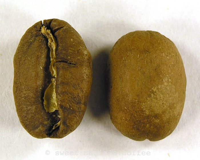 COFFEE is the NEW Crack!!