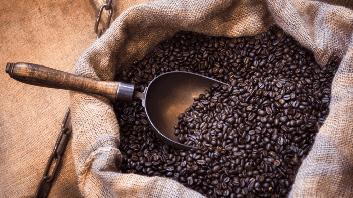 Can You Eat Coffee Beans? Are They Good For You?