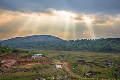 How Sustainable is Your Cup of Coffee