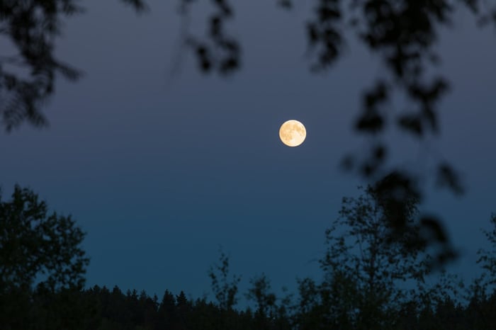 MOON MUSINGS: THE FULL MOON IN CAPRICORN