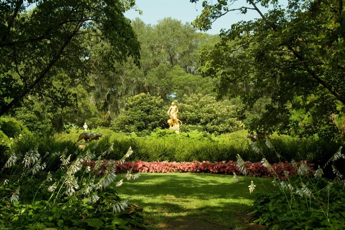 STORYTIME: KING MIDAS, DIONYSUS, AND THE GOLDEN TOUCH