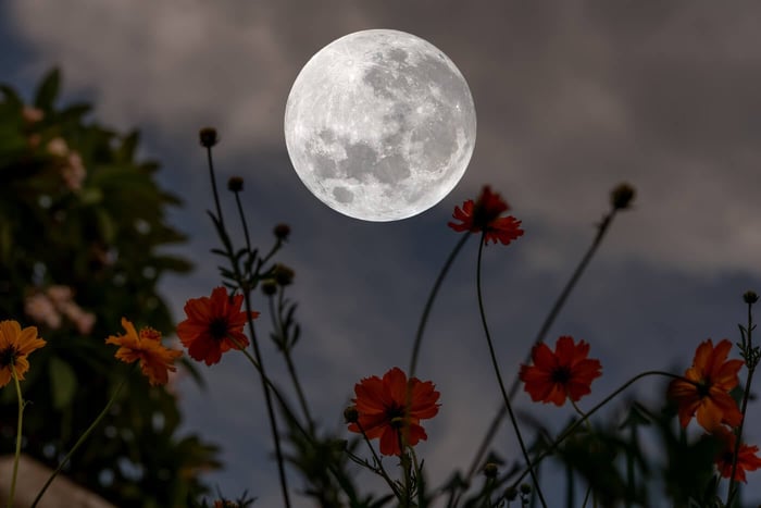 MOON MUSINGS: THE FULL MOON IN SAGITTARIUS