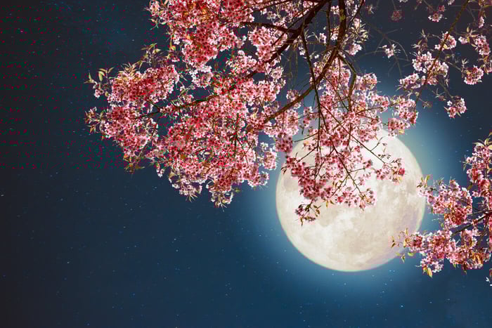 MOON MUSINGS: THE FULL MOON IN SCORPIO ECLIPSE