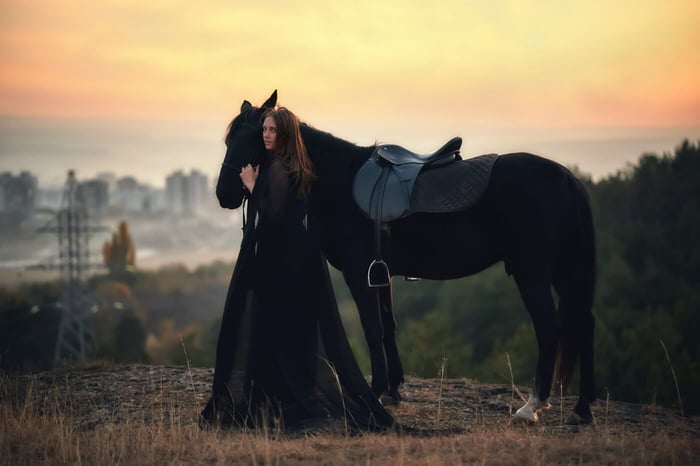 ANIMAL SYMBOLOGY: THE HORSE EXPLAINED