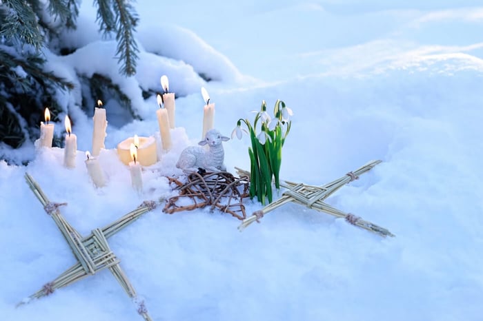 MAGICKAL HERBS TO USE FOR IMBOLC