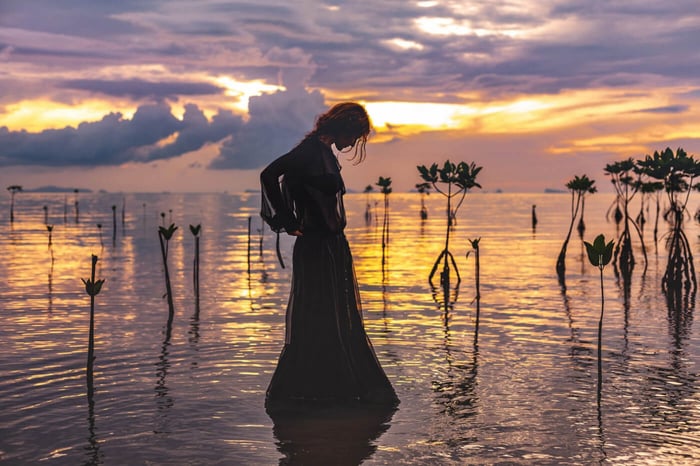 THE WOMAN WHO FELL FROM THE SKY