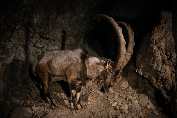 STORYTIME: THE TALE OF THE UNLUCKY DAYS