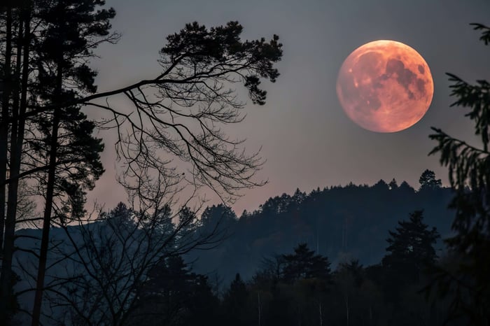 FULL MOON LUNAR ECLIPSE IN VIRGO