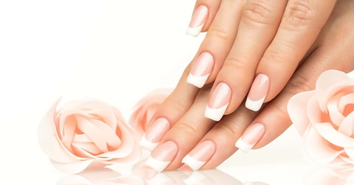 A close-up on the posed finger tips of a person's hand. They have French tips and are posing alongside flowers.