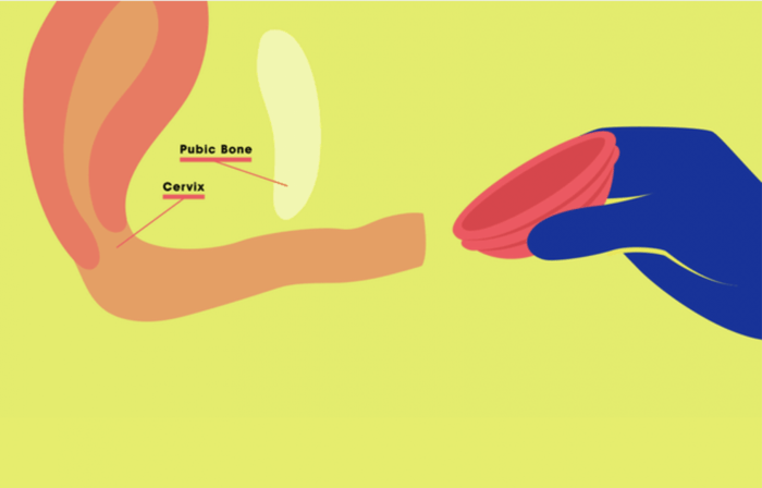 How to Insert a Menstrual Disc in Under 3 Minutes