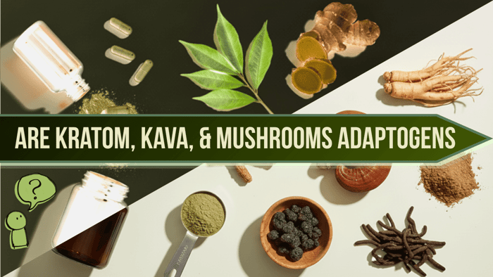 An Adaptogen Guide to Herbs, Mushrooms, Kava, and Kratom