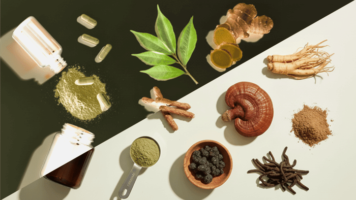 An Adaptogen Guide to Herbs, Mushrooms, Kava, and Kratom
